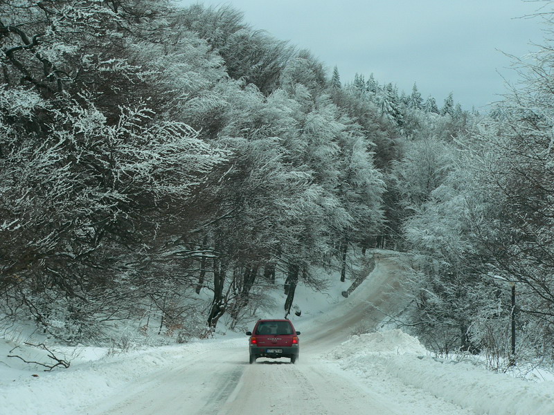 P1050272.jpg