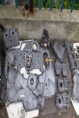 DSC_0525.JPG