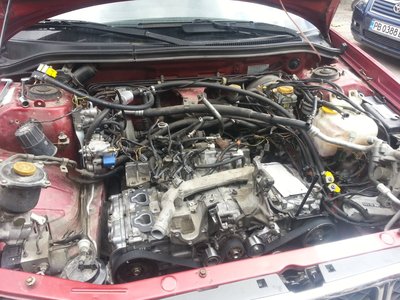 20130705_141518.jpg