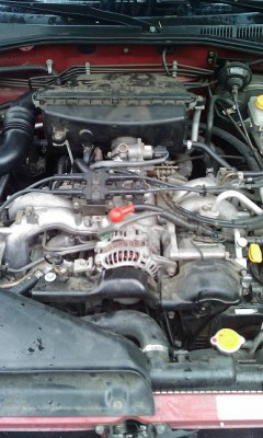 IMAG0171.jpg