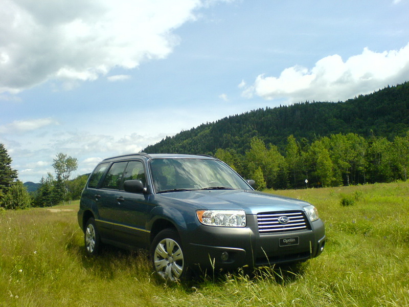 DSC01376-1.jpg