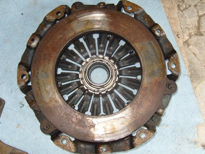 SS100945.JPG
