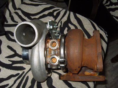 SS100767.JPG