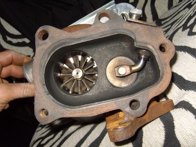 SS100765.JPG
