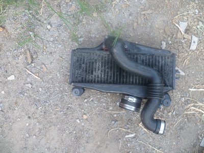 P1010230.jpg