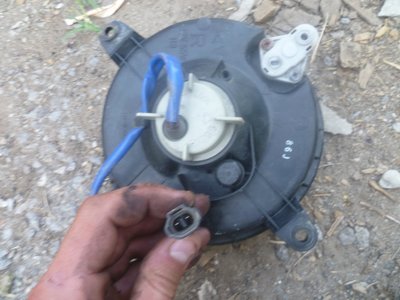P1010243.jpg
