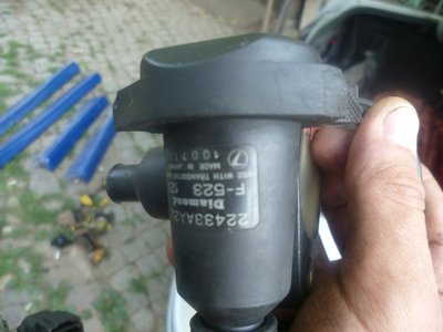 P1010279.jpg