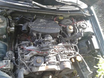 20130815_094624.jpg
