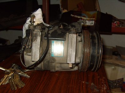 SS100951.JPG