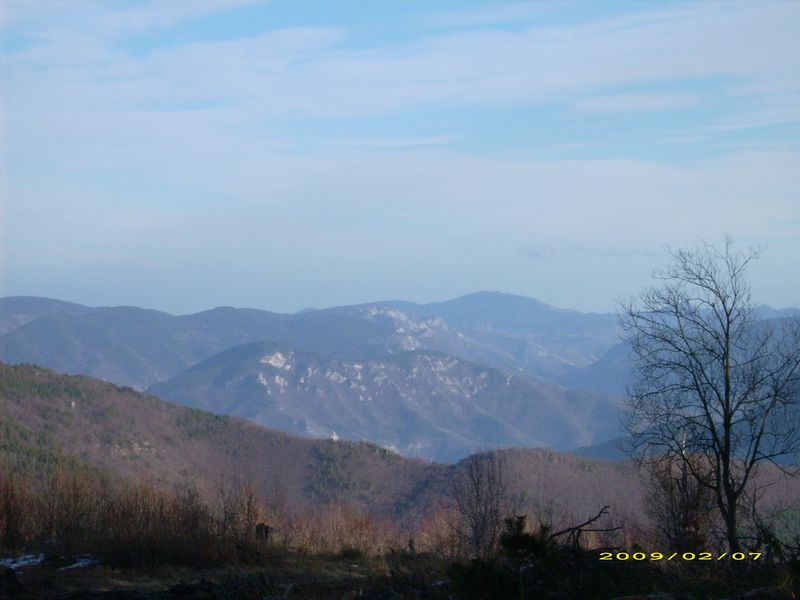 tn_DSCI0006.JPG
