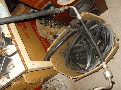 SS100955.JPG