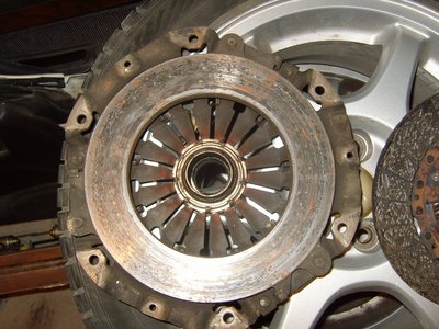 SS100960.JPG