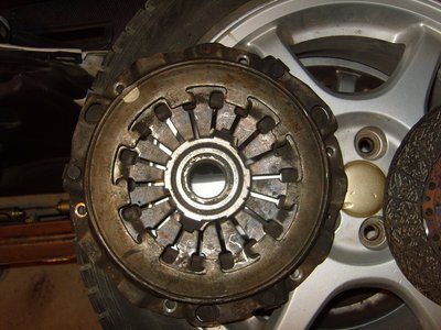SS100961.JPG