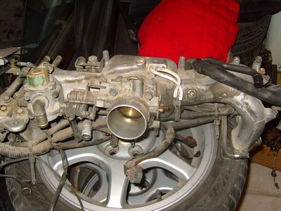 SS100965.JPG