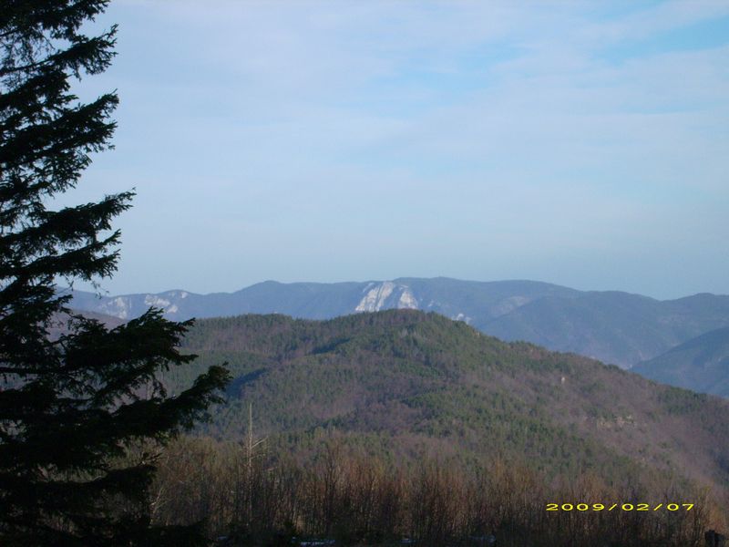 tn_DSCI0007.JPG