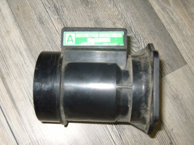 SS100980.JPG