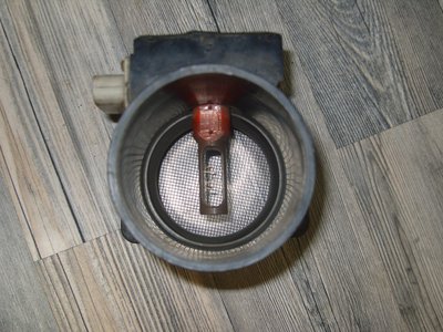SS100982.JPG
