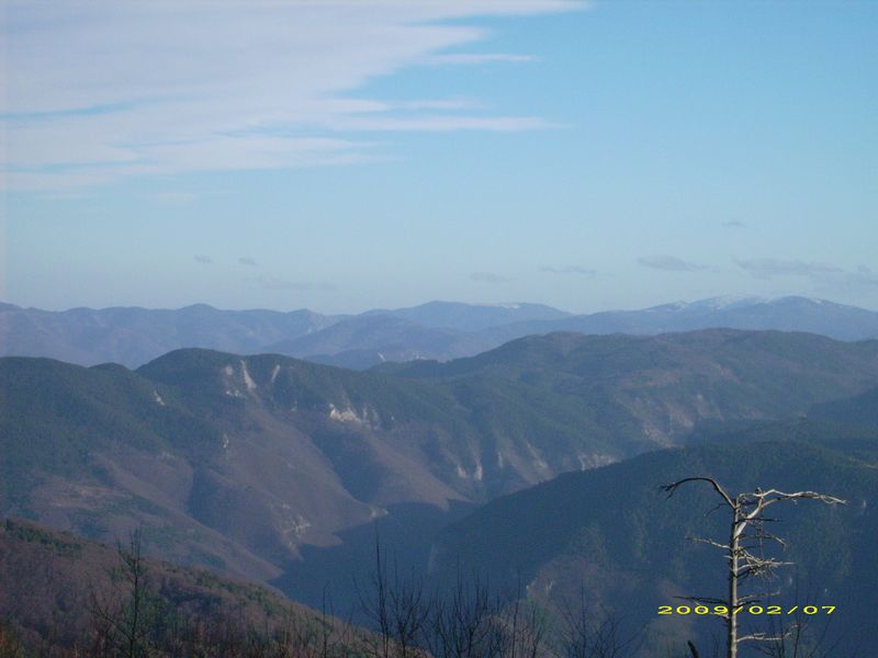 tn_DSCI0008.JPG