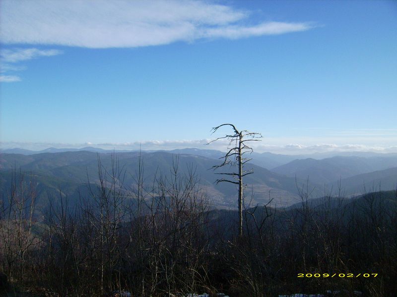 tn_DSCI0014.JPG