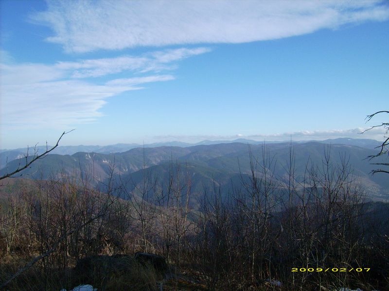 tn_DSCI0015.JPG