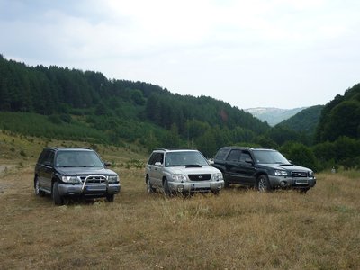 P1040882_973x730.jpg