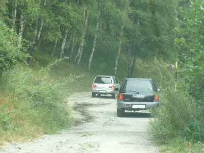 P1040888_973x730.jpg