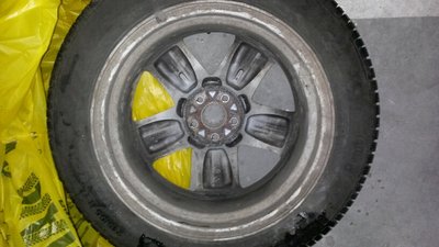 20130825_105617_resized.jpg