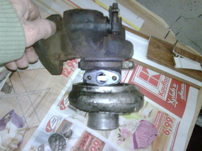 IMG00019-20120129-1228.jpg