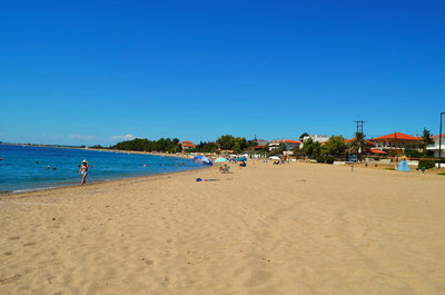 DSC_0925_resize.JPG
