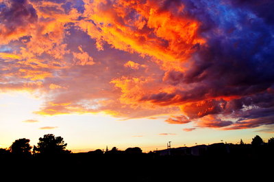 DSC_0871_resize.JPG
