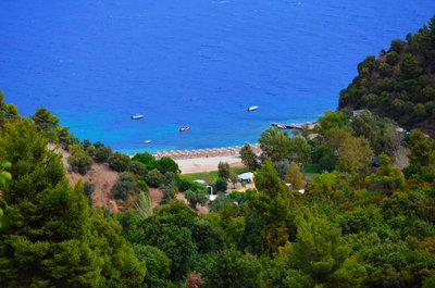 DSC_0082_resize.JPG