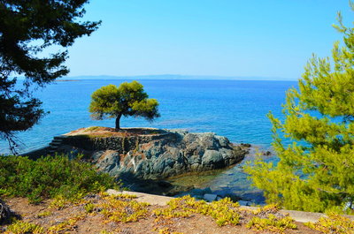 DSC_0801_resize.JPG