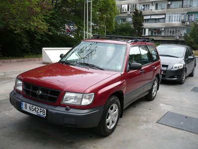 newP1060537.jpg