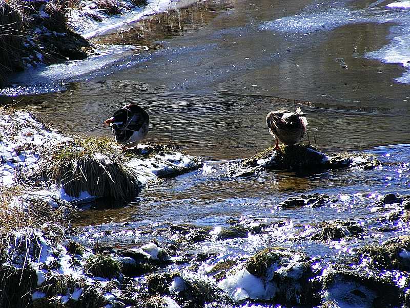2008_02160125.jpg