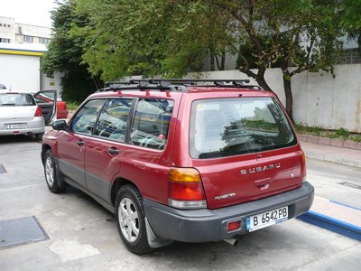 newP1060540.jpg