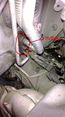 WP_20130611_0021.JPG