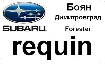 subaru_badg_requin_with_car&city.JPG