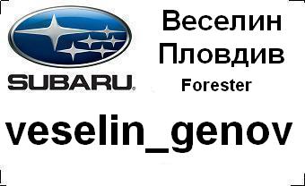 subaru_badg_veselin_genov_with_car&city.JPG