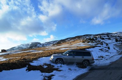 DSC_0865(1).jpg