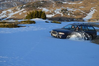 DSC_0893(1).jpg