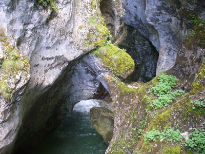 P1040236.jpg