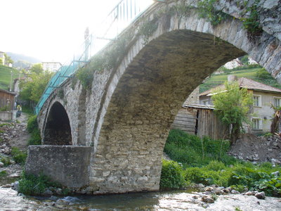 P1040244.jpg