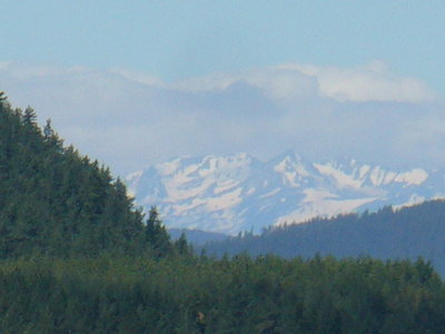 P1040272.jpg