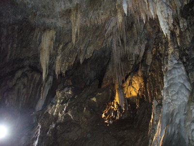 P1040289.jpg