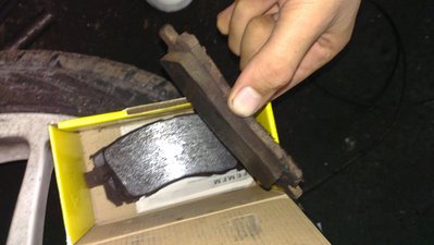 IMAG0366.jpg