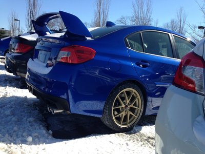 new.sti.jpg