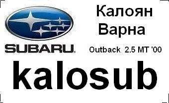 subaru_badg_kalosub_with_car&city.JPG