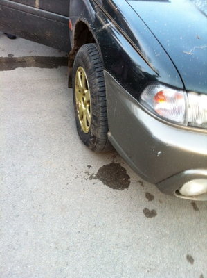 photo 9.jpg