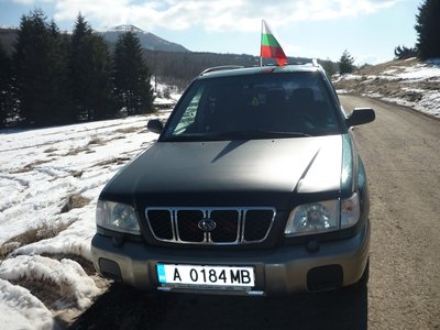 P1090457 - Копие.JPG