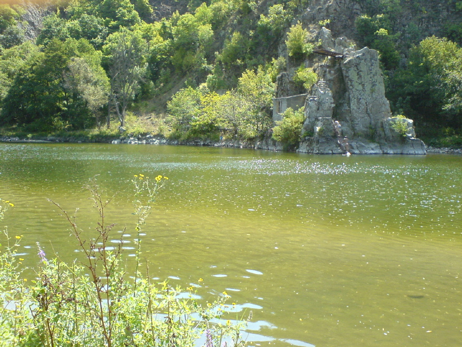 DSC00349m1.JPG